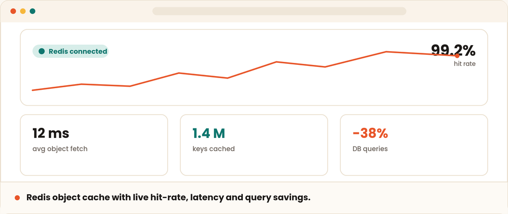 Resilient Object Cache — Redis That Never Takes Your Site Down screenshot